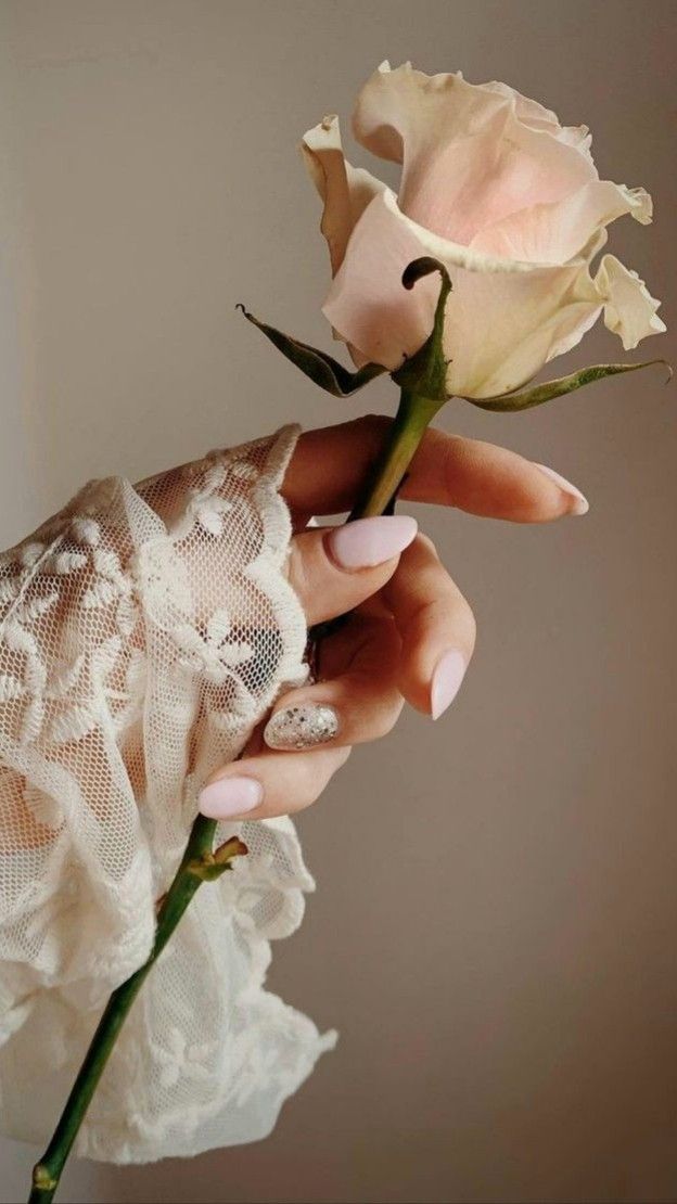 FORMACIONES Y CURSOS