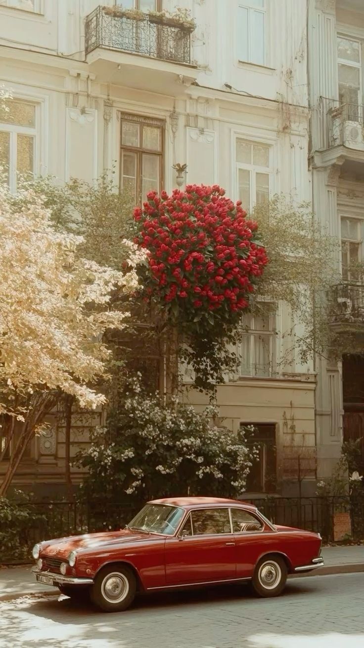 SANANDO ABUSO SEXUAL